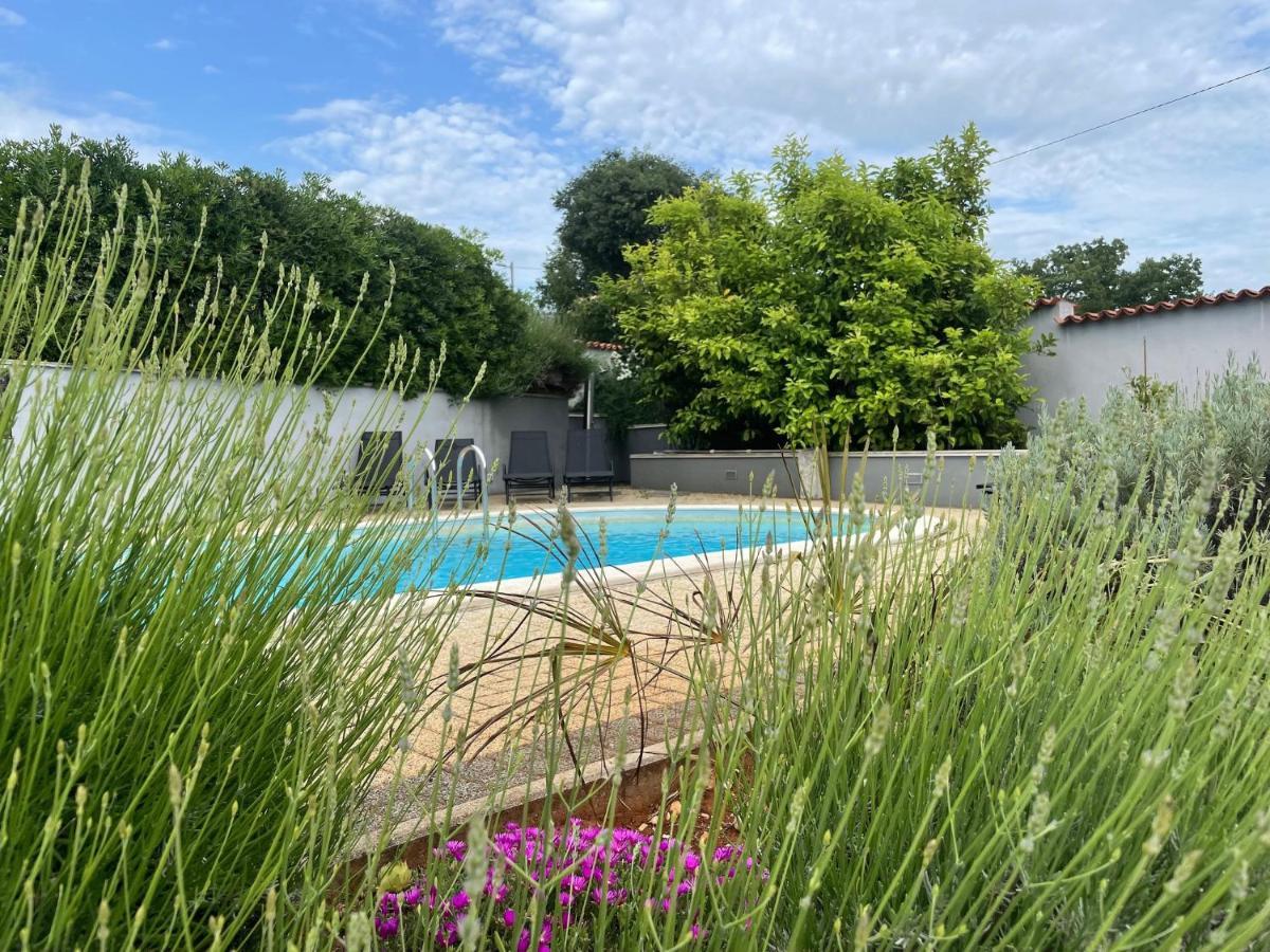 Villa Elisa Kaštelir Екстериор снимка